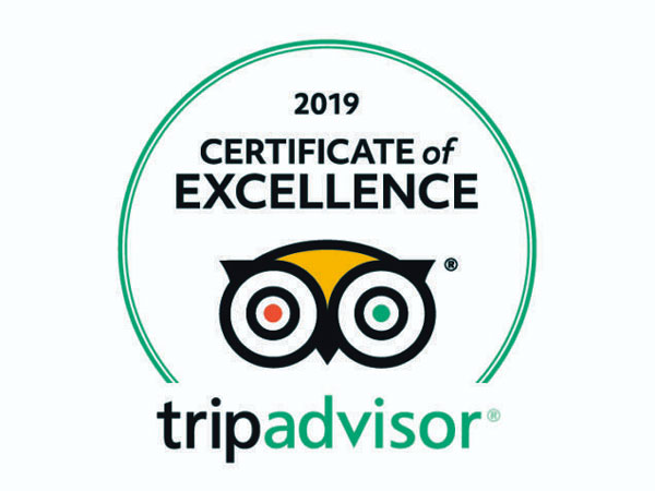 tripadvisor coe